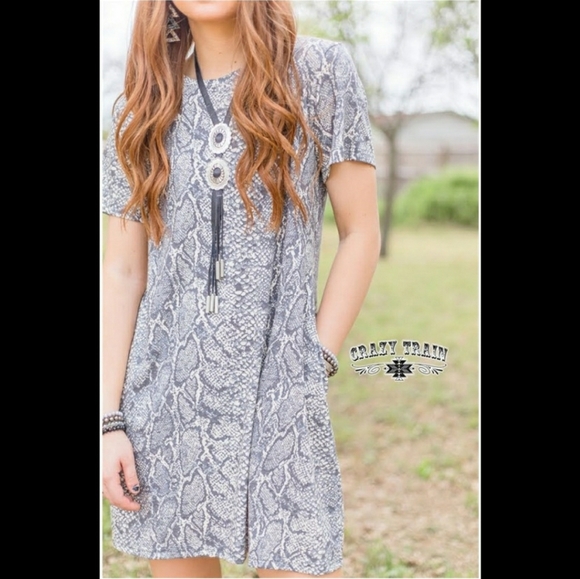 🌵Crazy Train☀️ Python Pocket Dress - Picture 3 of 5